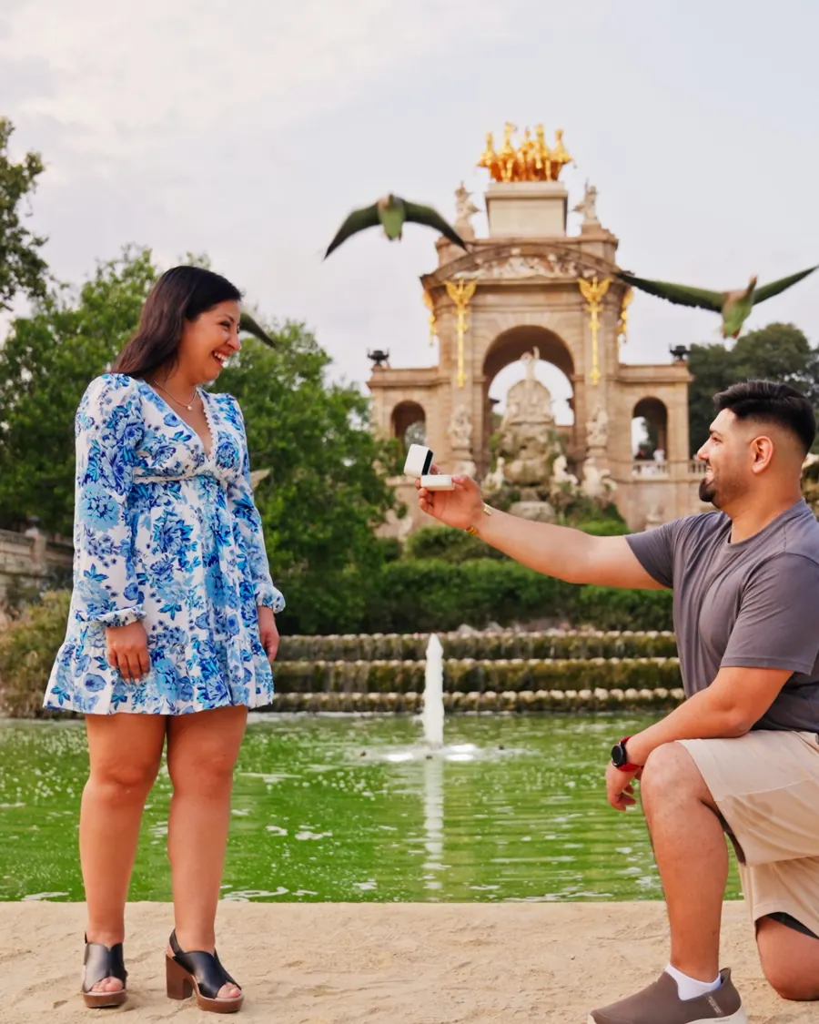 A proposal at Parc de la Ciutadella